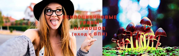 тгк Алзамай