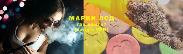 стафф Алексин