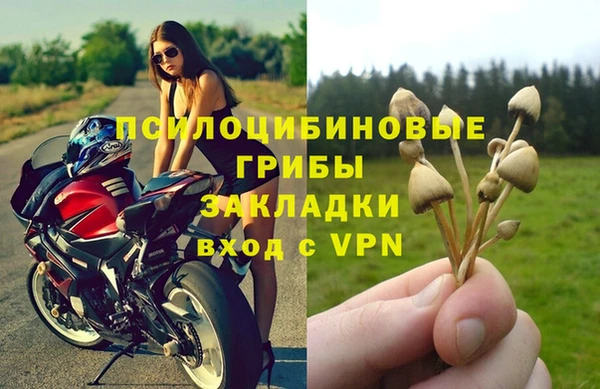 экстази Нязепетровск