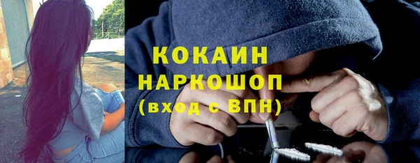 тгк Алзамай