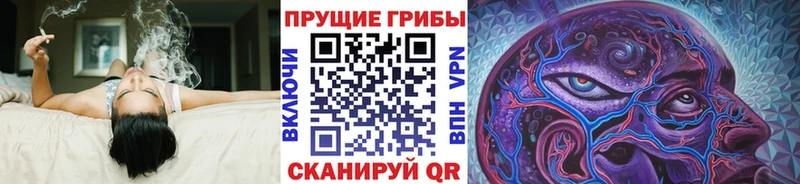 Псилоцибиновые грибы Cubensis  Бокситогорск 